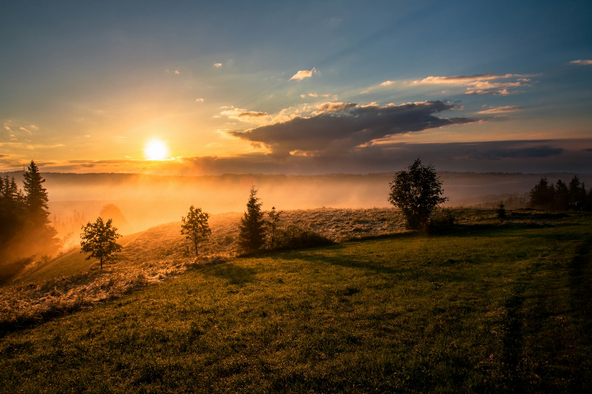Sunrise with mist